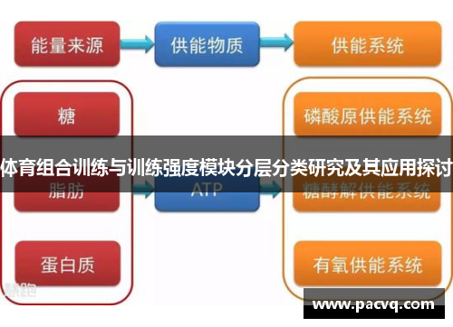 体育组合训练与训练强度模块分层分类研究及其应用探讨