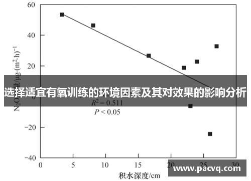 选择适宜有氧训练的环境因素及其对效果的影响分析